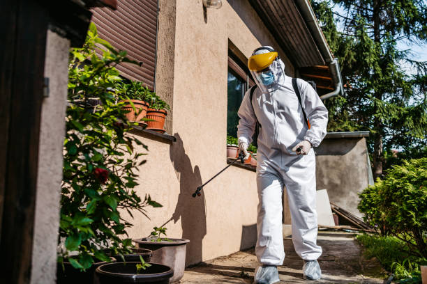 Best Affordable Pest Control Services  in Carrollton, GA