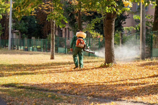 Best Mosquito Control Services  in Carrollton, GA